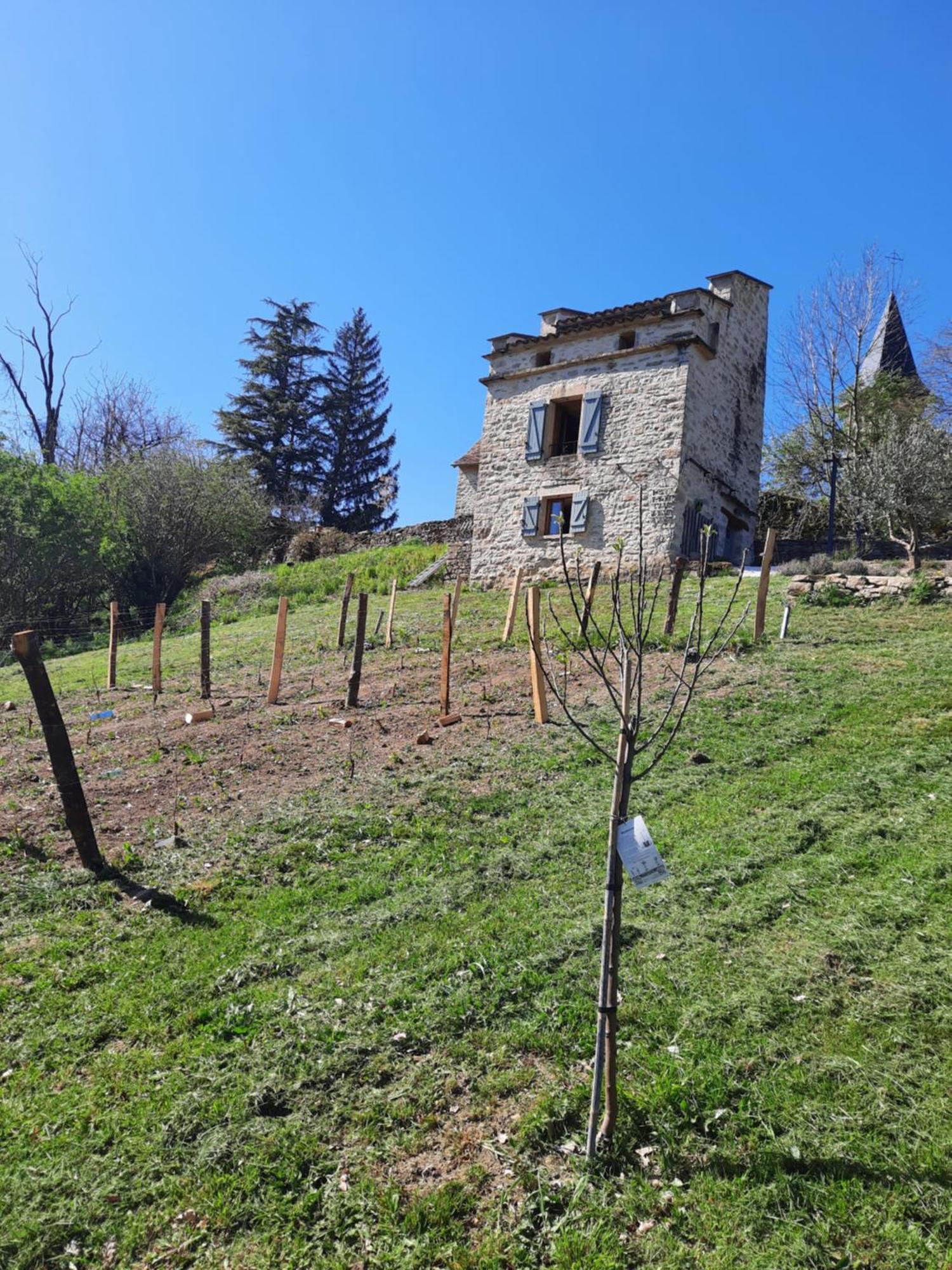 Caylus Le Pigeonnier De Felines 빌라 객실 사진
